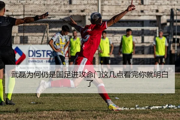 武磊为何仍是国足进攻命门这几点看完你就明白了